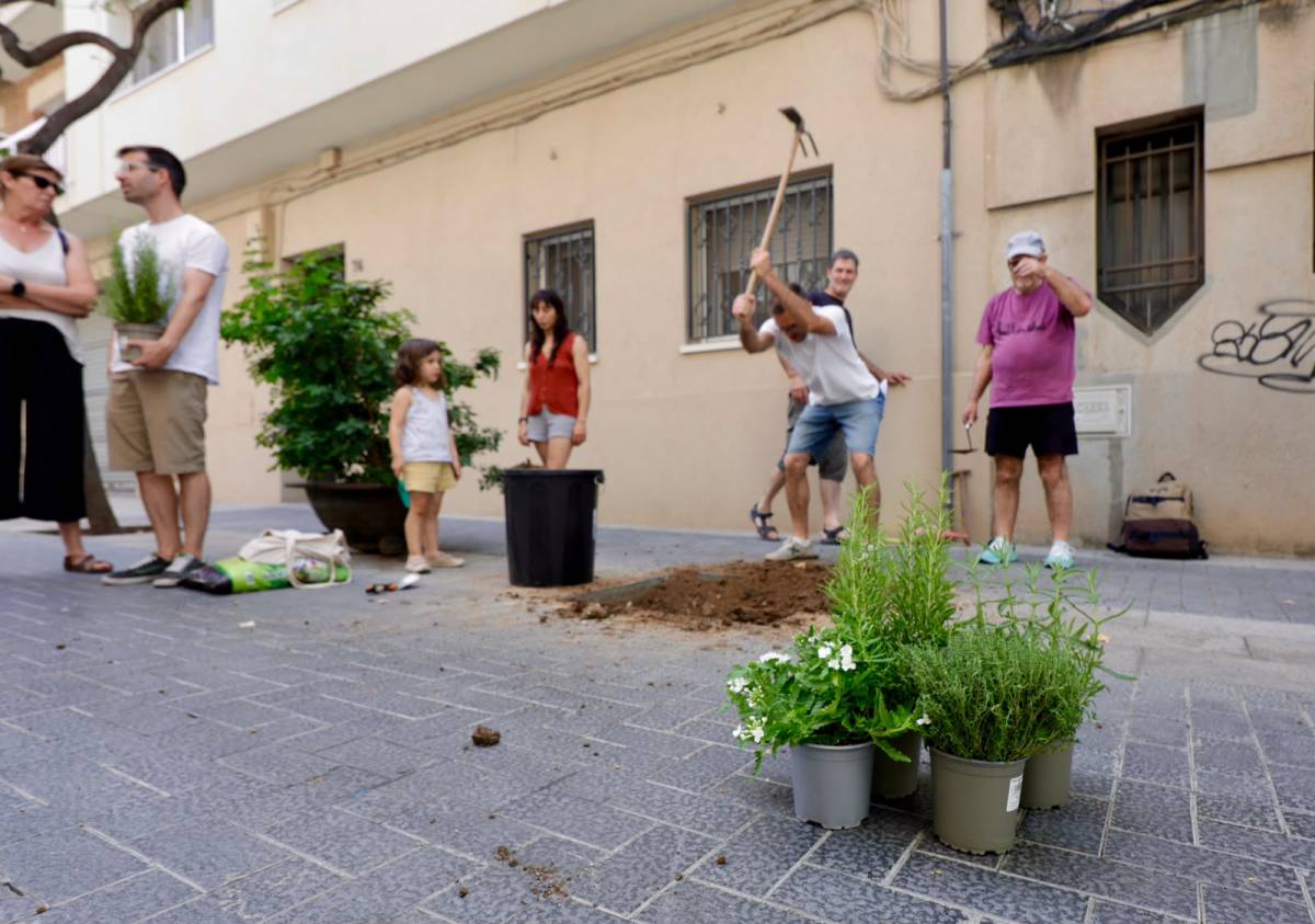Plantació d`espècies arbustives mediterrànies i autòctones al Centre - JUANMA PELÁEZ Plantació d`espècies arbustives mediterrànies i autòctones al Centre