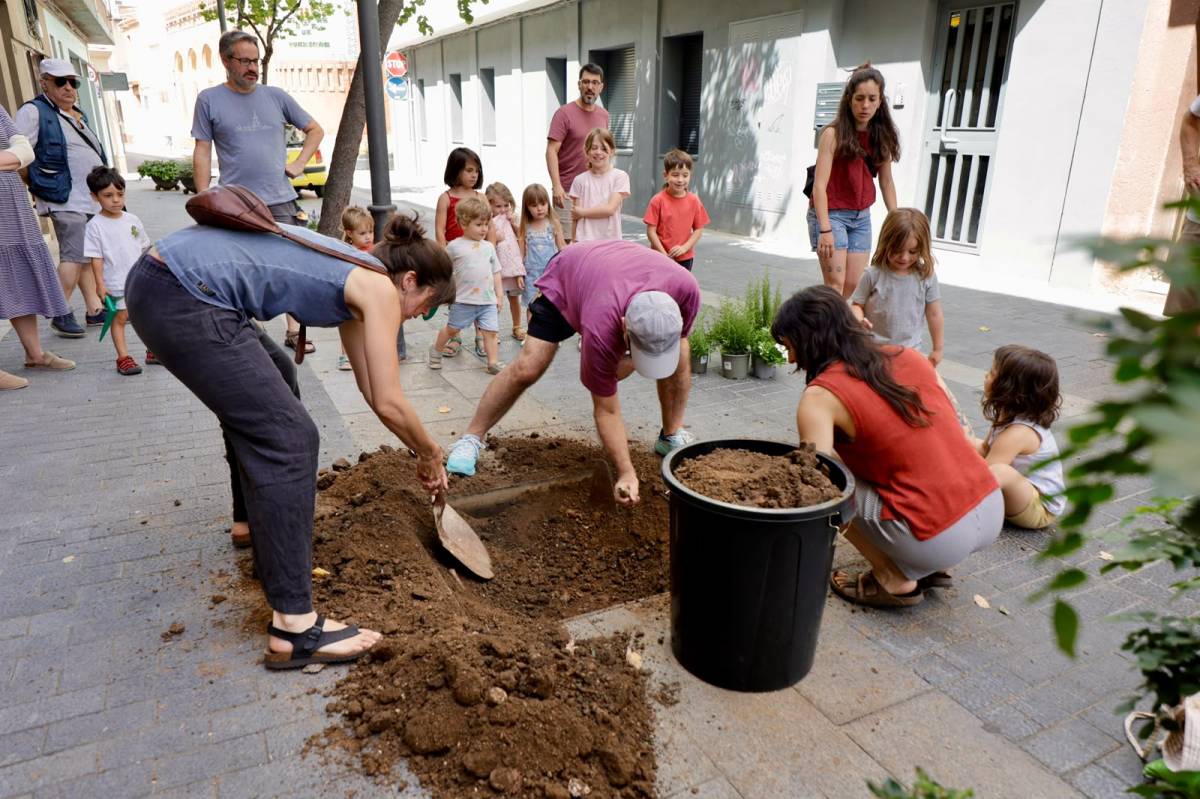 Plantació d`espècies arbustives mediterrànies i autòctones al Centre - JUANMA PELÁEZ Plantació d`espècies arbustives mediterrànies i autòctones al Centre