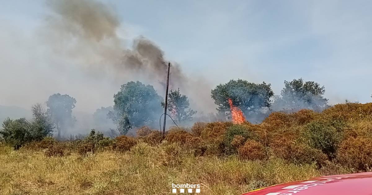 Controlats els incendis de vegetació a l'Alt Empordà i el Garraf