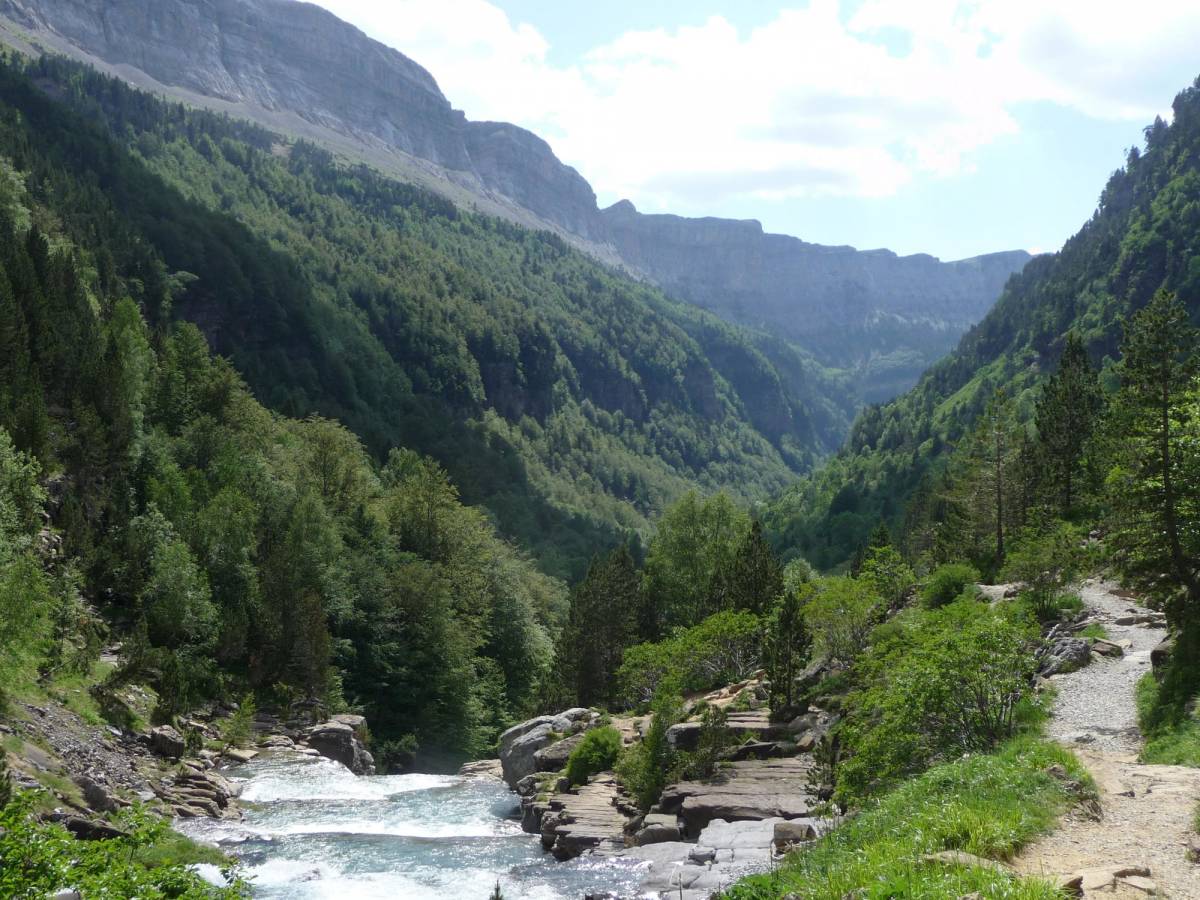 La crisi climàtica posa en risc la biodiversitat microbiana dels rius