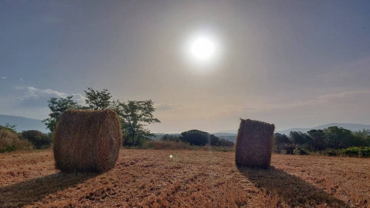 El pic de l'onada de calor deixa fins a 42,4 graus i una nit de molt maldormir