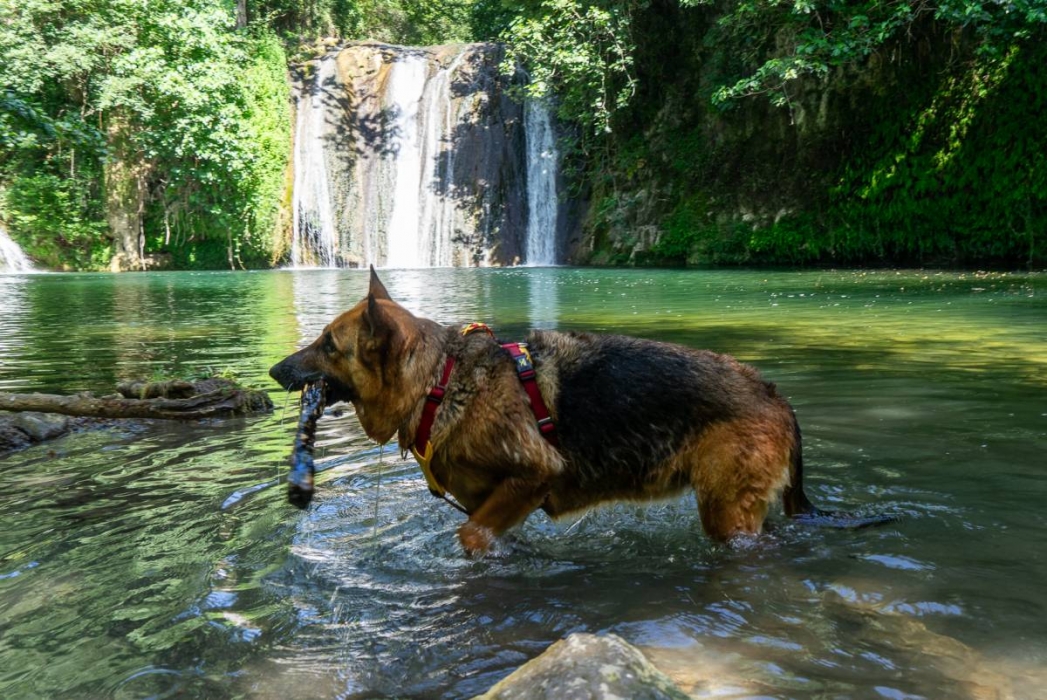 Tercer dia de l'onada de calor: 17 comarques en alerta