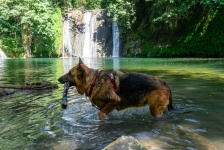 Tercer dia de l'onada de calor: 17 comarques en alerta