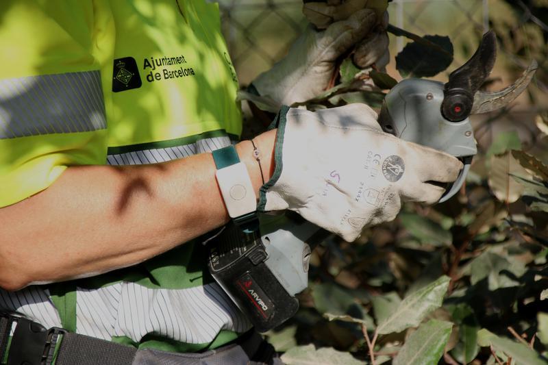 La polsera per als treballadors de Parcs i Jardins per prevenir cops de calor - La polsera per als treballadors de Parcs i Jardins per prevenir cops de calor