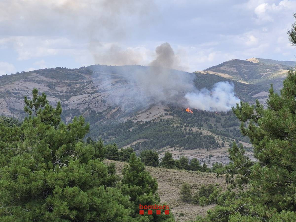 Una vintena de dotacions dels Bombers treballen en un incendi forestal a Tremp