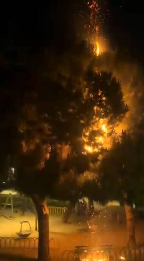 Incendi d`un arbre a la plaça de Pablo Neruda - Incendi d`un arbre a la plaça de Pablo Neruda