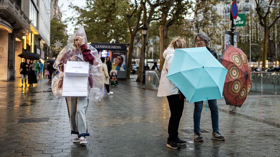 Alerta per vent a Barcelona: arbres caiguts, Bombers desplegats i parcs tancats