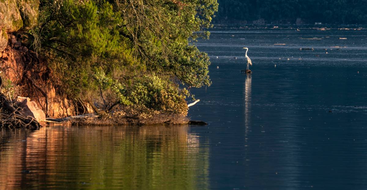 El temps de divendres: continua la calor intensa