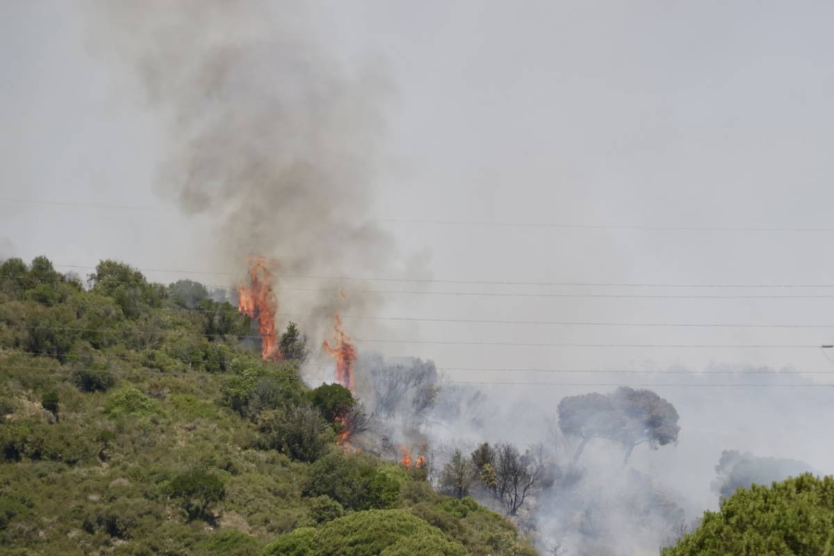 Un detingut per l'incendi de Tiana que ha obligat a confinar els veïns de quatre municipis