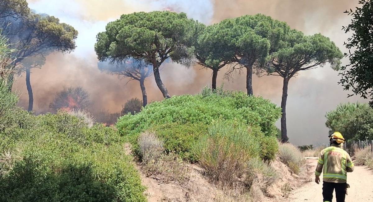 Un detingut per l'incendi de Tiana que afecta 25 hectàrees