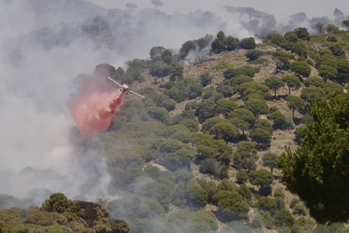 Estabilitzat l'incendi de Tiana després de cremar 48 hectàrees