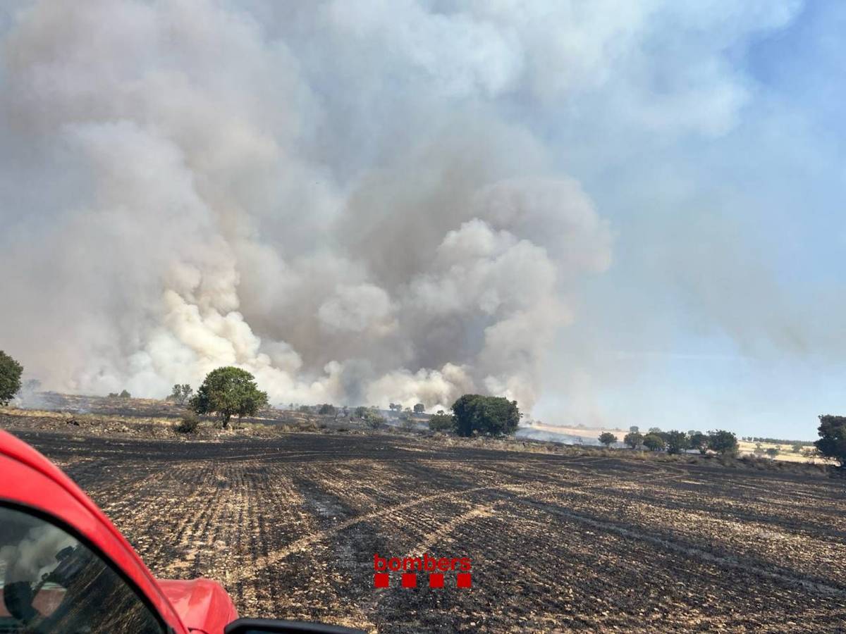 Controlat l'incendi de vegetació agrícola de Tàrrega, que ha cremat prop de 39 hectàrees