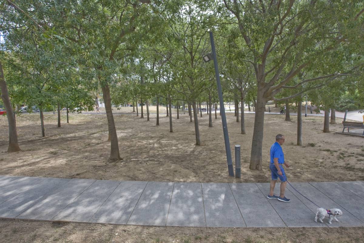 El ple debat l'ús de la plaça de Rosa Mora per a gossos amb el Parc del Nord com a alternativa de l'Ajuntament