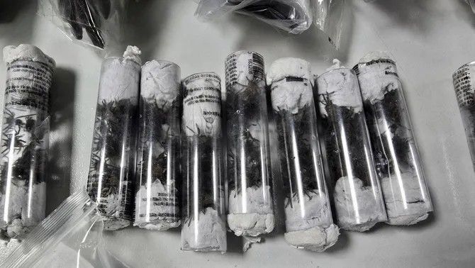 El curiós contraban que ha intentat una persona al Perú