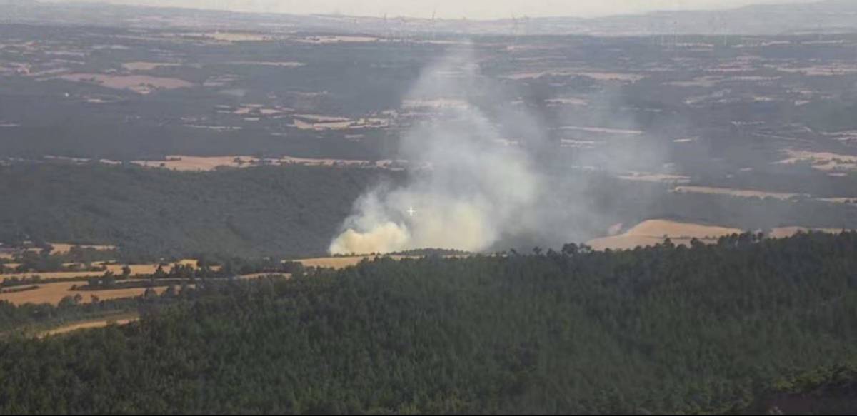 Foc a Pinós apagat en poques hores per la resposta de 15 efectius, entre ells 4 mitjans aeris