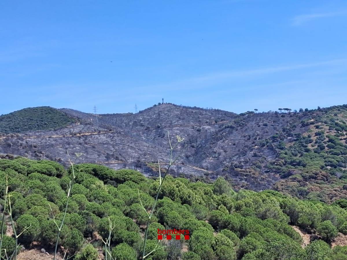 Els Bombers continuen treballant en l'incendi controlat de Tiana que ha cremat 48 hectàrees