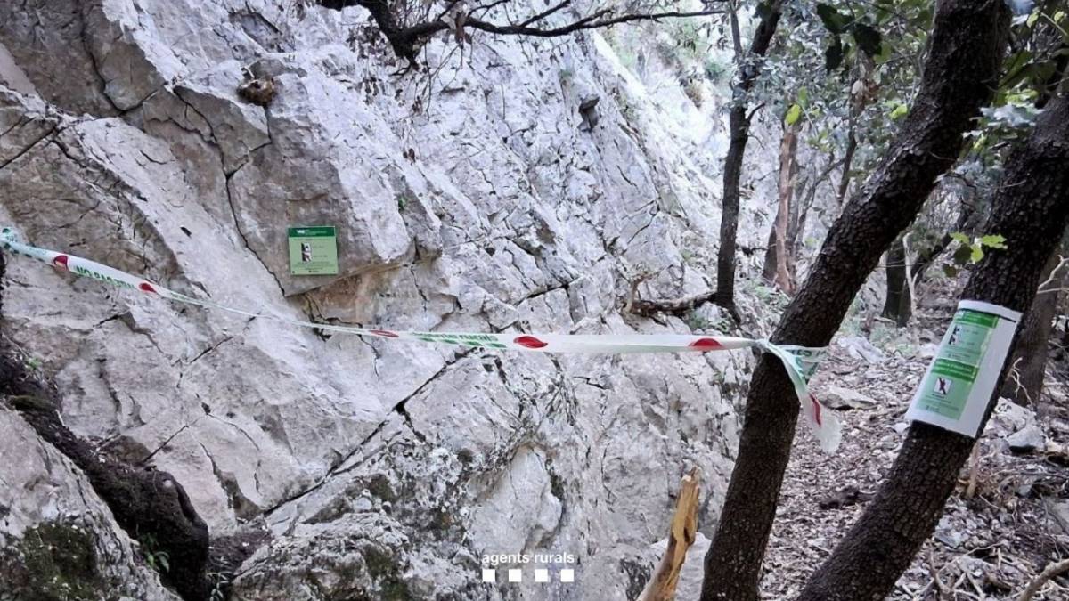 Denuncien dos guies per portar un grup a fer ràpel en un sector restringit de la Garrotxa