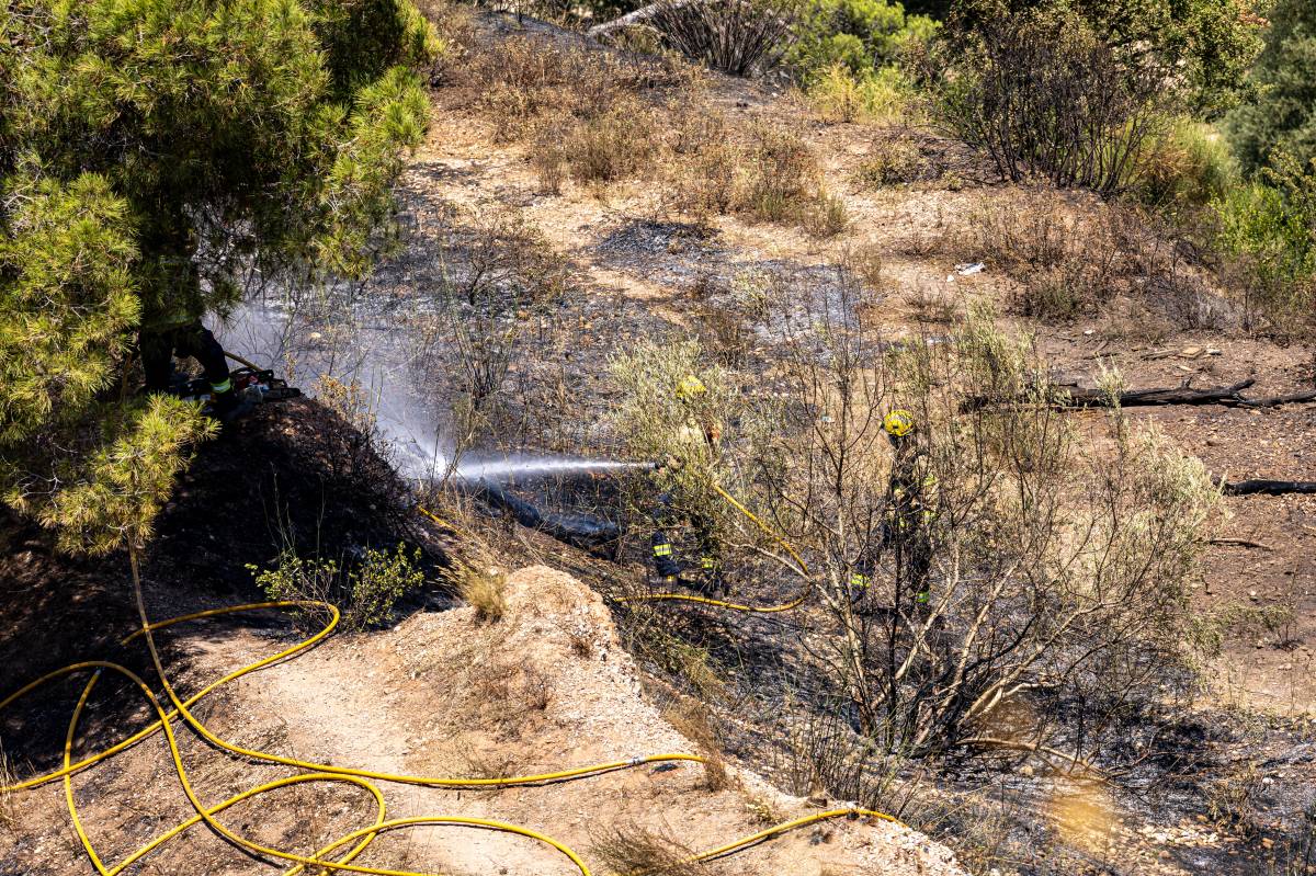 Incendi forestal a la zona de Can Jonqueres