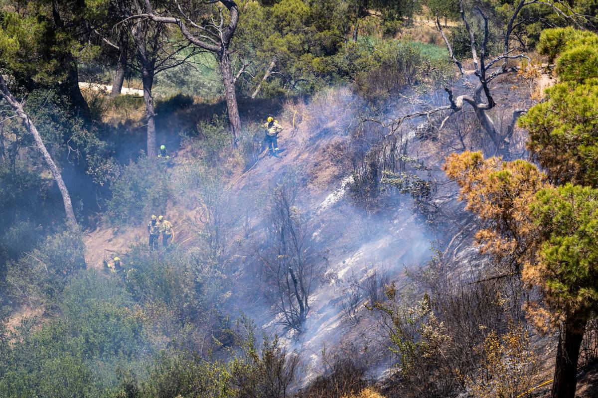 Incendi forestal a la zona de Can Jonqueres