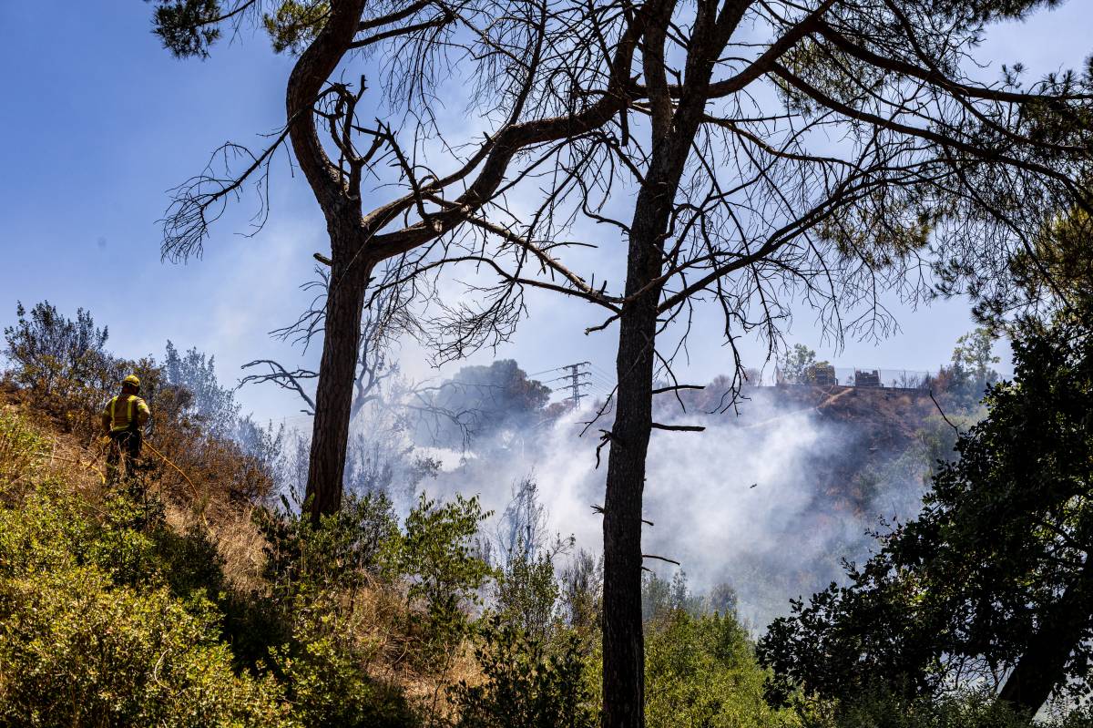 Incendi forestal a la zona de Can Jonqueres