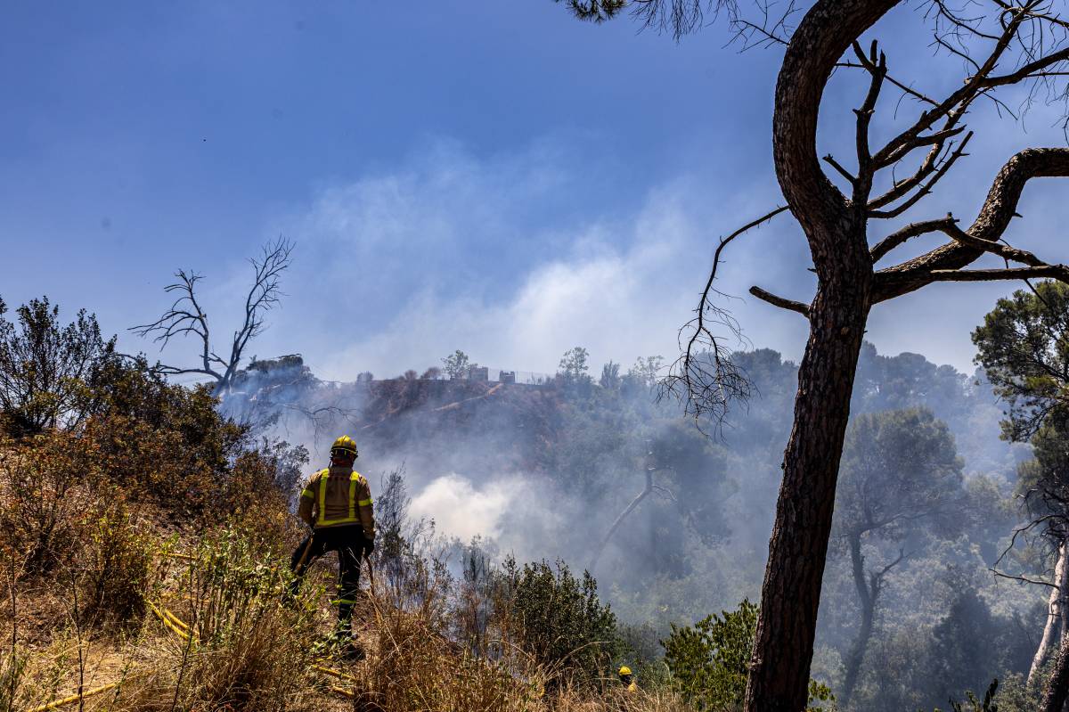 Incendi forestal a la zona de Can Jonqueres