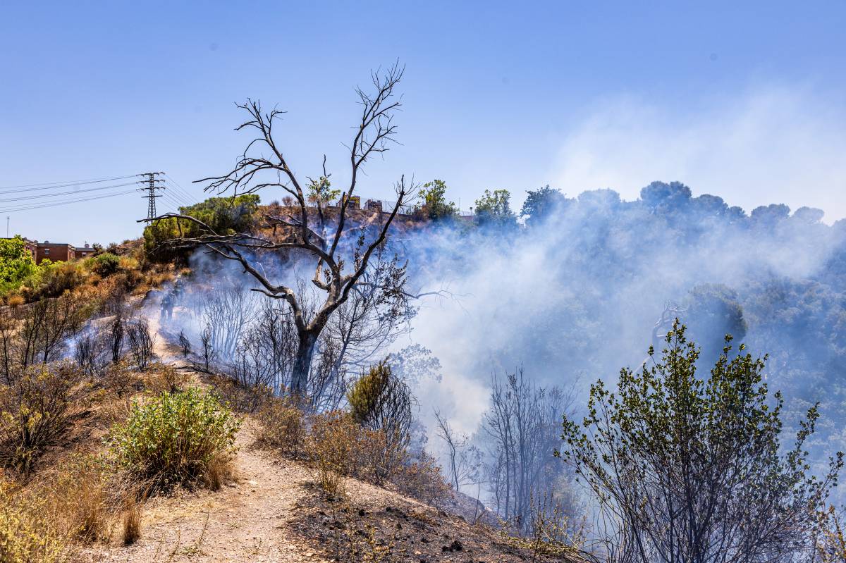 Incendi forestal a la zona de Can Jonqueres