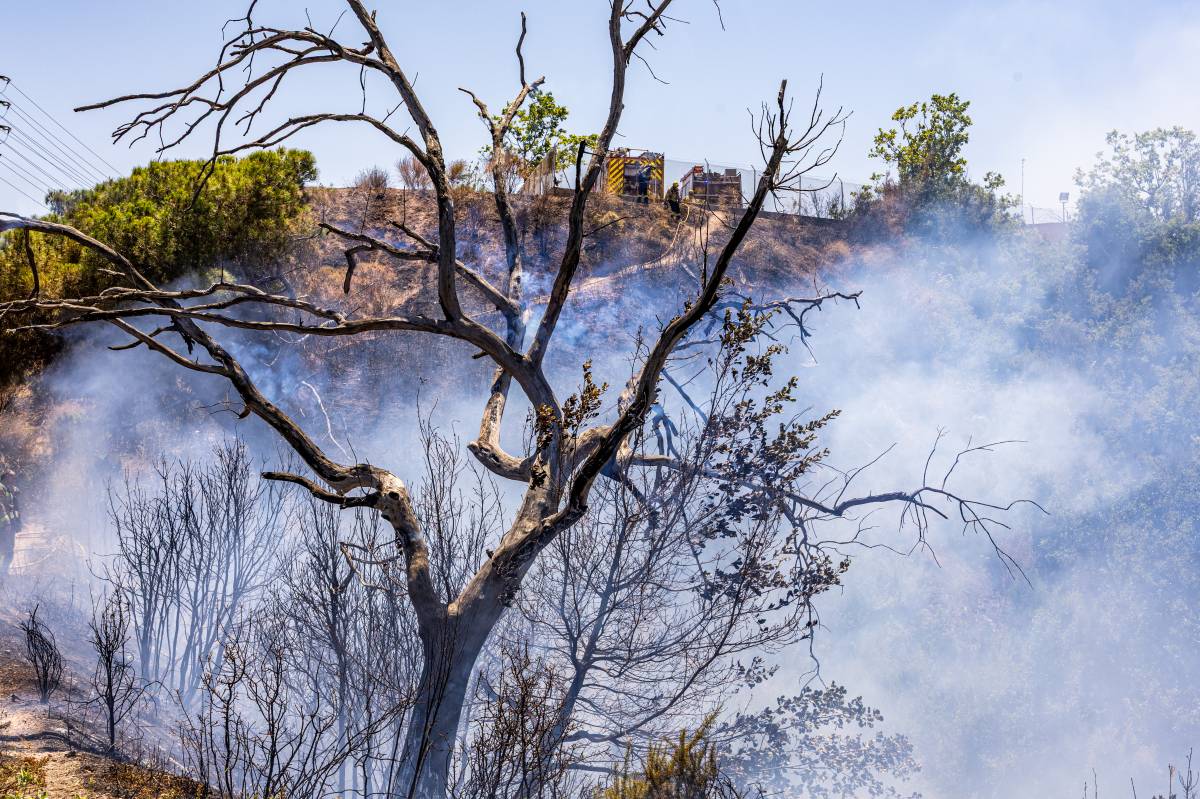 Incendi forestal a la zona de Can Jonqueres