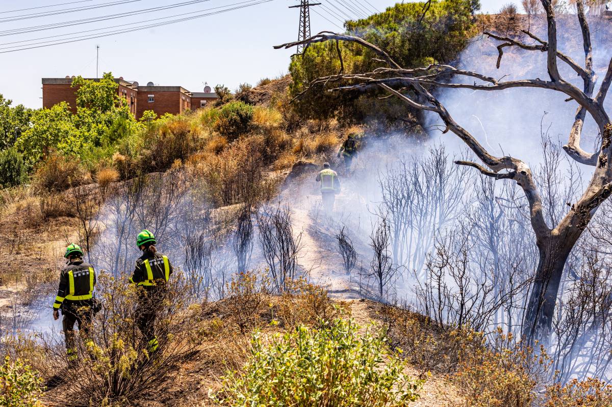Incendi forestal a la zona de Can Jonqueres