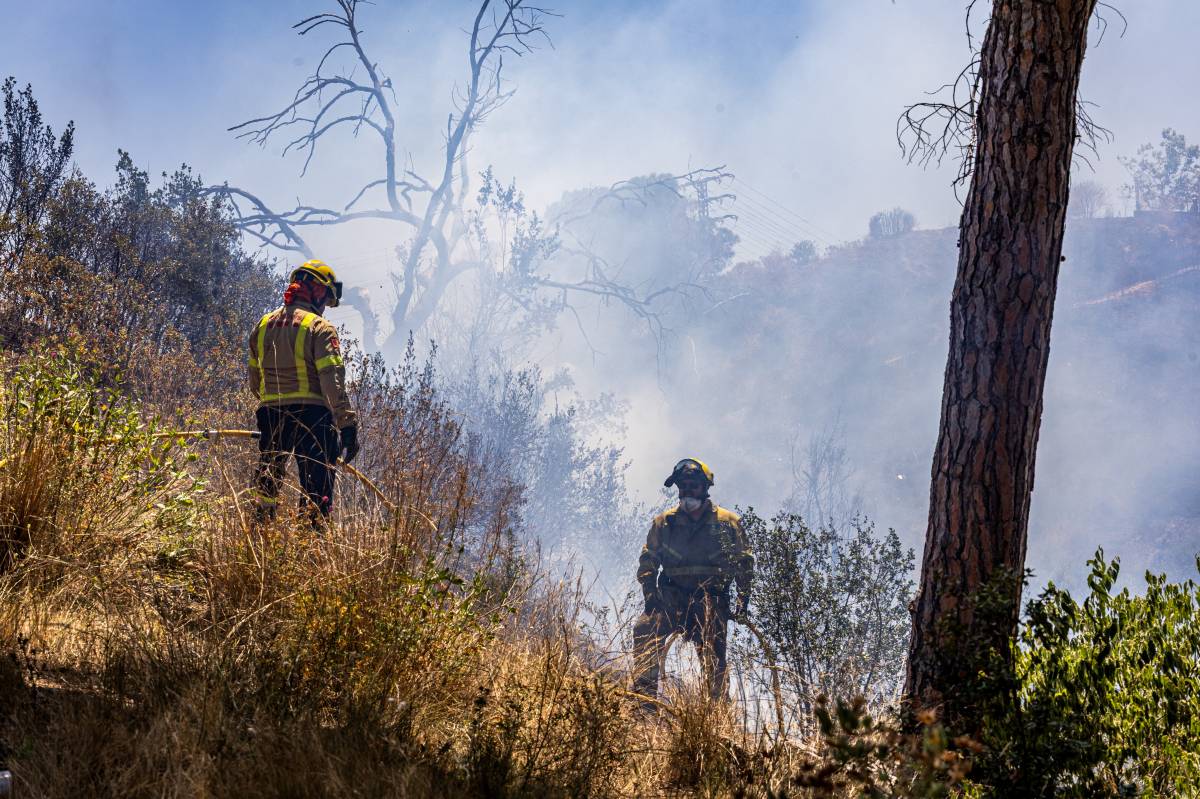 Incendi forestal a la zona de Can Jonqueres