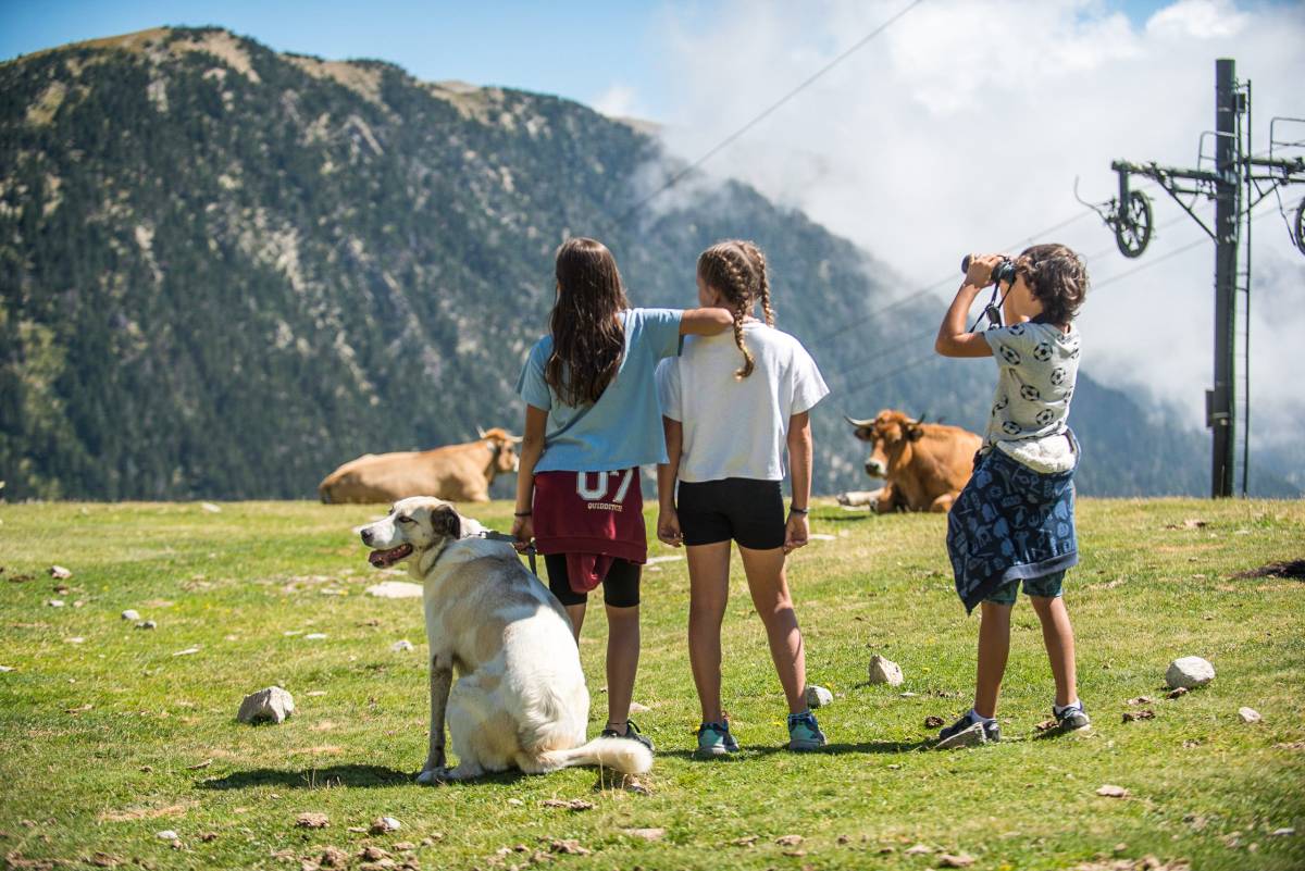 Què fer aquest estiu a l’estació de muntanya de Vallter: activitats i novetats al Pirineu