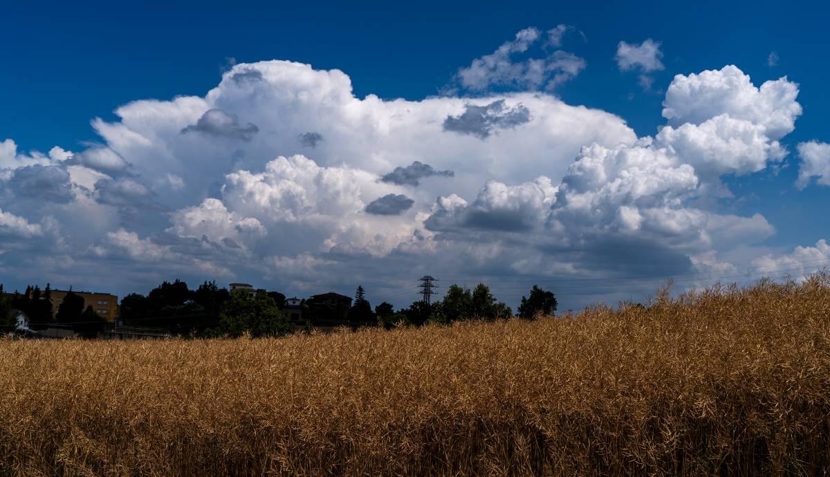 El temps d'aquest dimarts 30 de juny: 22 comarques en avís per calor i tempestes