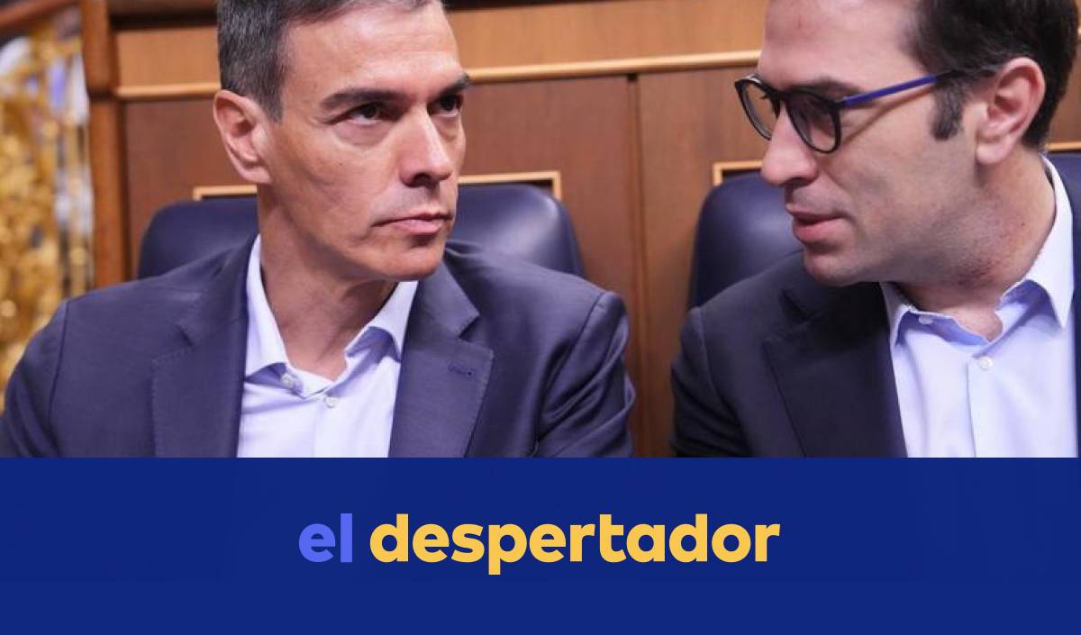 Sense alternativa a Sánchez