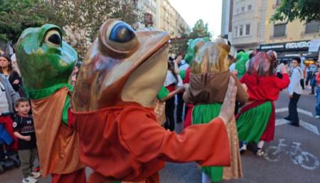 Què hi fan granotes i gripaus del Ripoll a aparadors de botigues de Sabadell?
