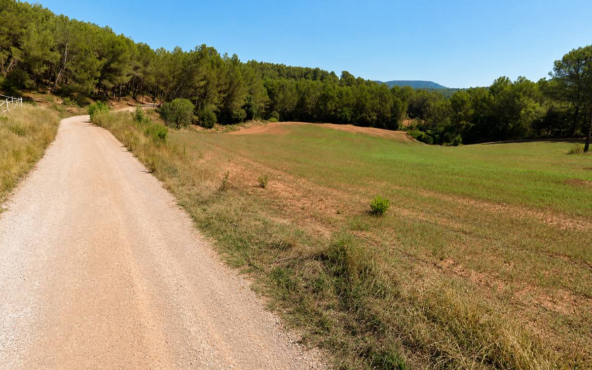 Busquen un home de 63 anys desaparegut a Callús des de dissabte
