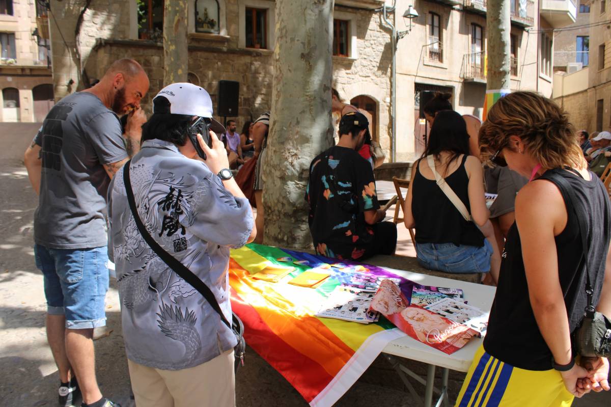 Una parada del 28 J a Solsona - Ramon Estany Una parada del 28 J a Solsona