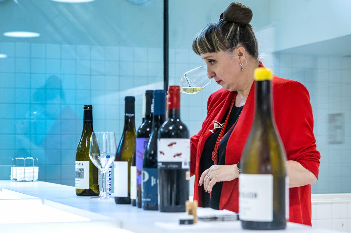 Sessió del curs de tast de vins a l`Escola de Restauració - Juanma Peláez Sessió del curs de tast de vins a l`Escola de Restauració