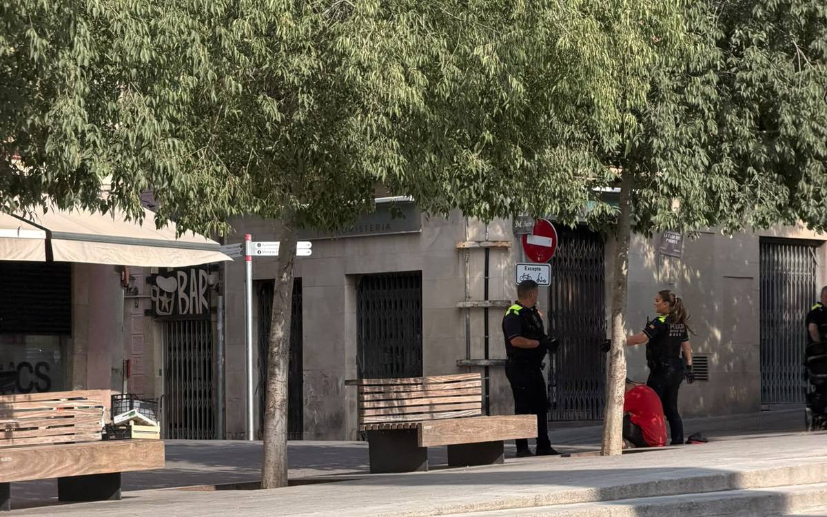 Detingut a Manresa per un cas de violència en l'àmbit de la llar