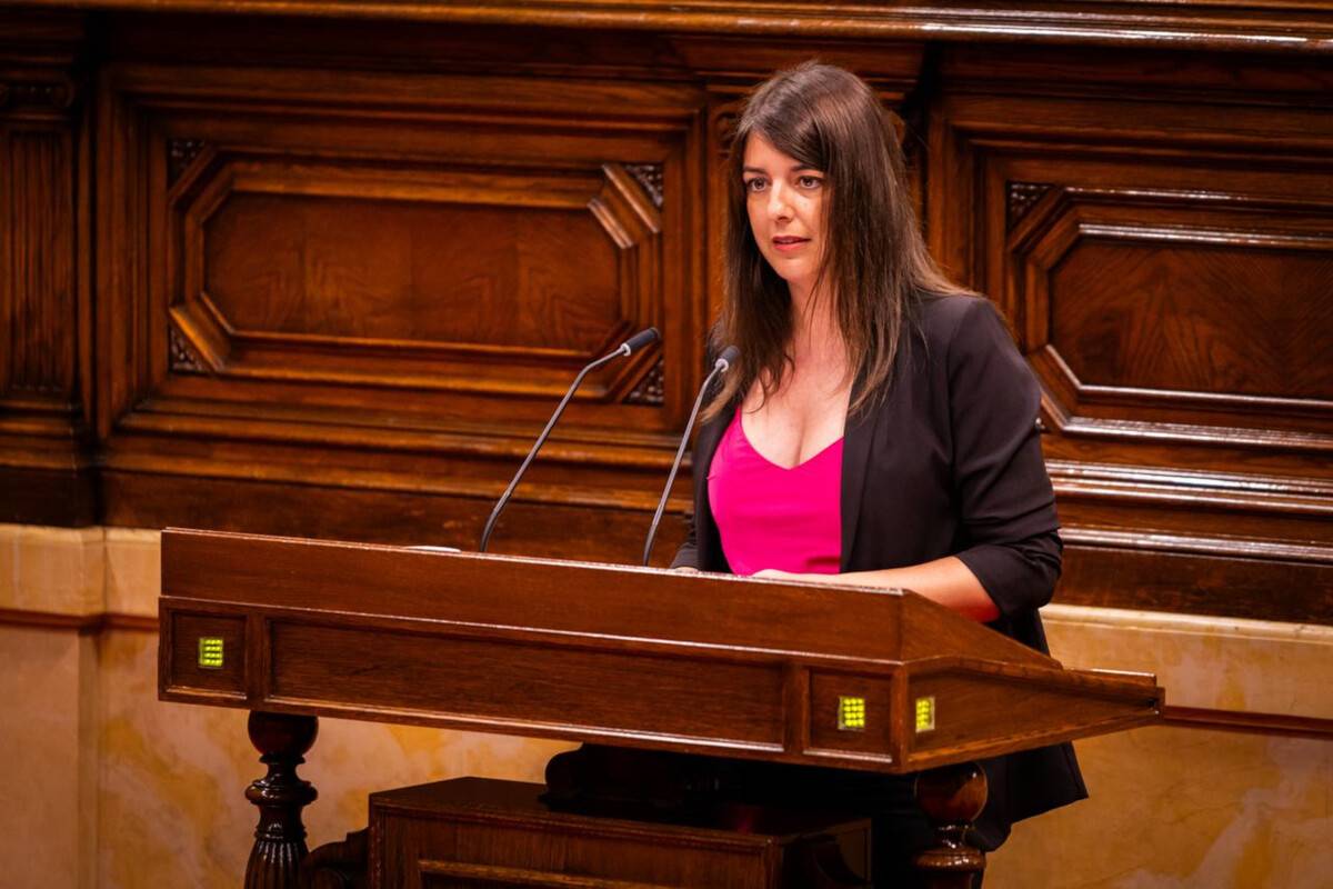 Junts insta a reorganitzar el model sanitari de les Terres de l’Ebre amb un pla integral
