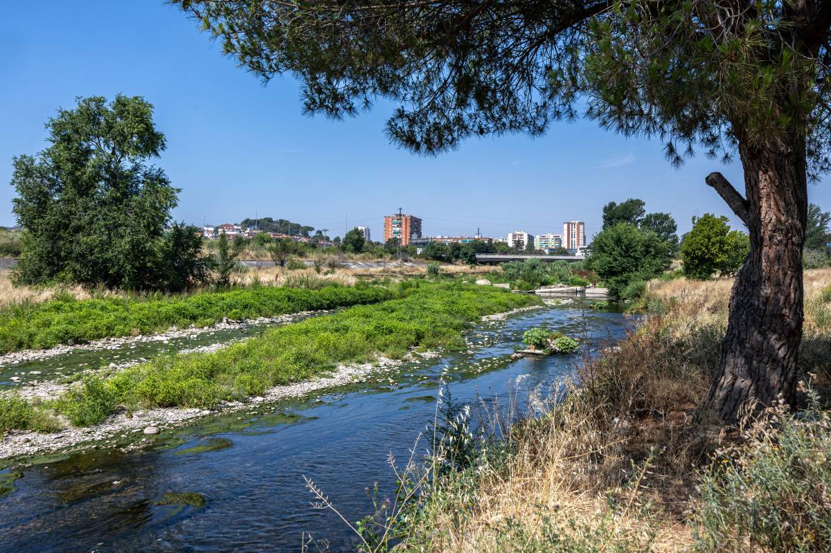 Mal estat a la zona entre el riu Sec i el Ripoll a Ripollet que s`ha de transformar - Juanma Peláez Mal estat a la zona entre el riu Sec i el Ripoll a Ripollet que s`ha de transformar