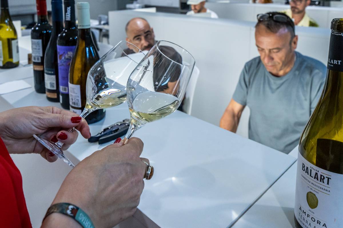 Una sessió del curs de vins a Sallarès Deu - Juanma Peláez Una sessió del curs de vins a Sallarès Deu
