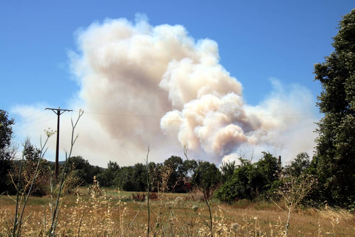 La tramuntana atia un gran incendi a l'Empordà