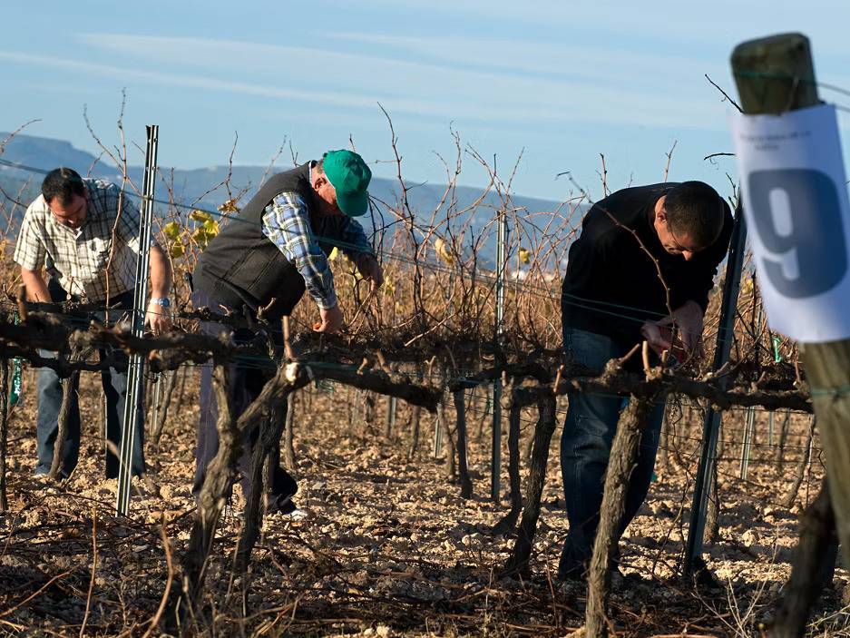 El municipi «menys turístic» de Catalunya: paratges naturals amb un clima suau