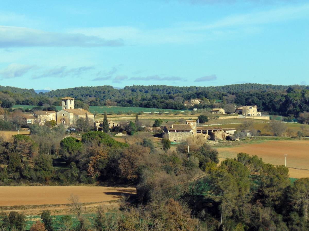 Els Bombers treballen en un incendi de vegetació al Pla de l'Estany
