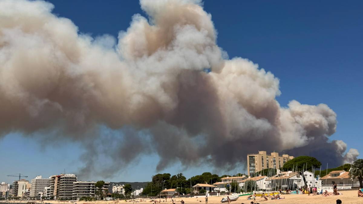 Confinen diversos municipis de l'Empordà per l'incendi que crema atiat per la tramuntana