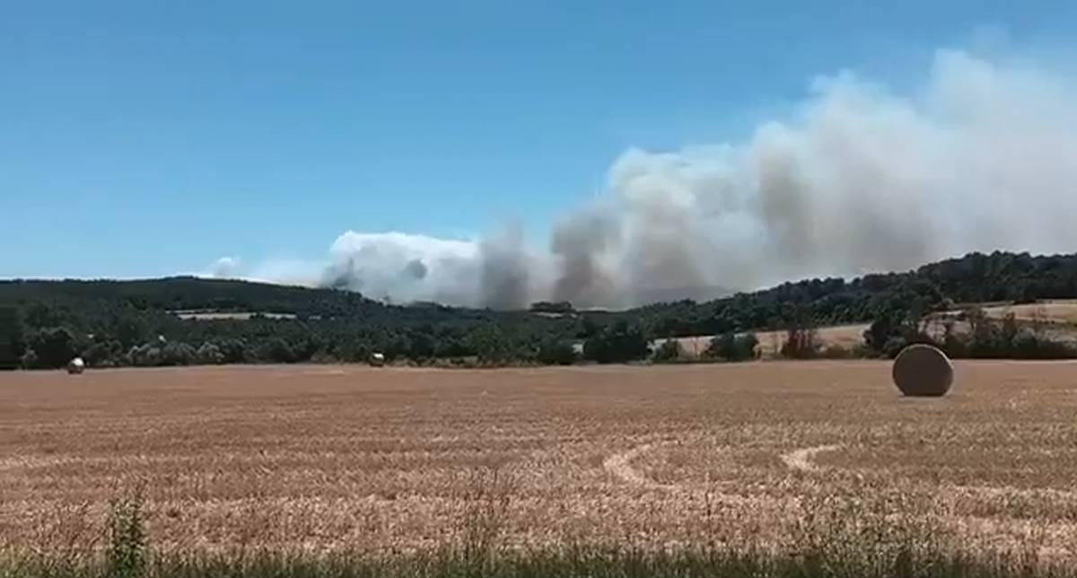 Un incendi al Pla de l'Estany obliga a confinar la zona de Vilavenut i del Palol de la Farga