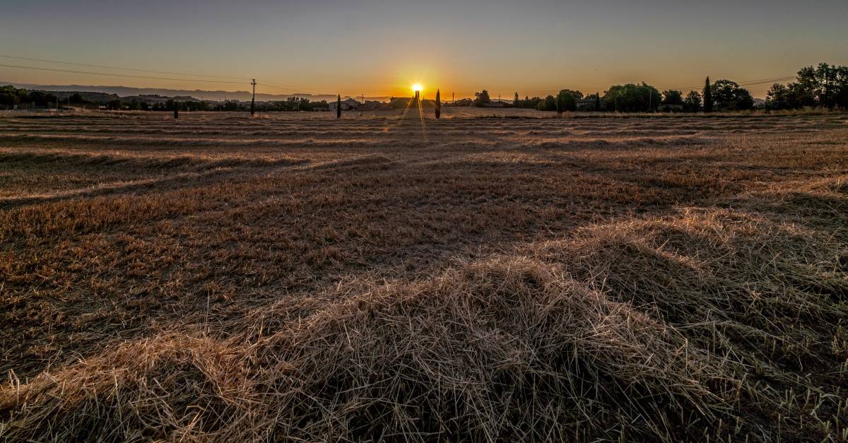 El Meteocat amplia els avisos per calor: 28 comarques en alerta