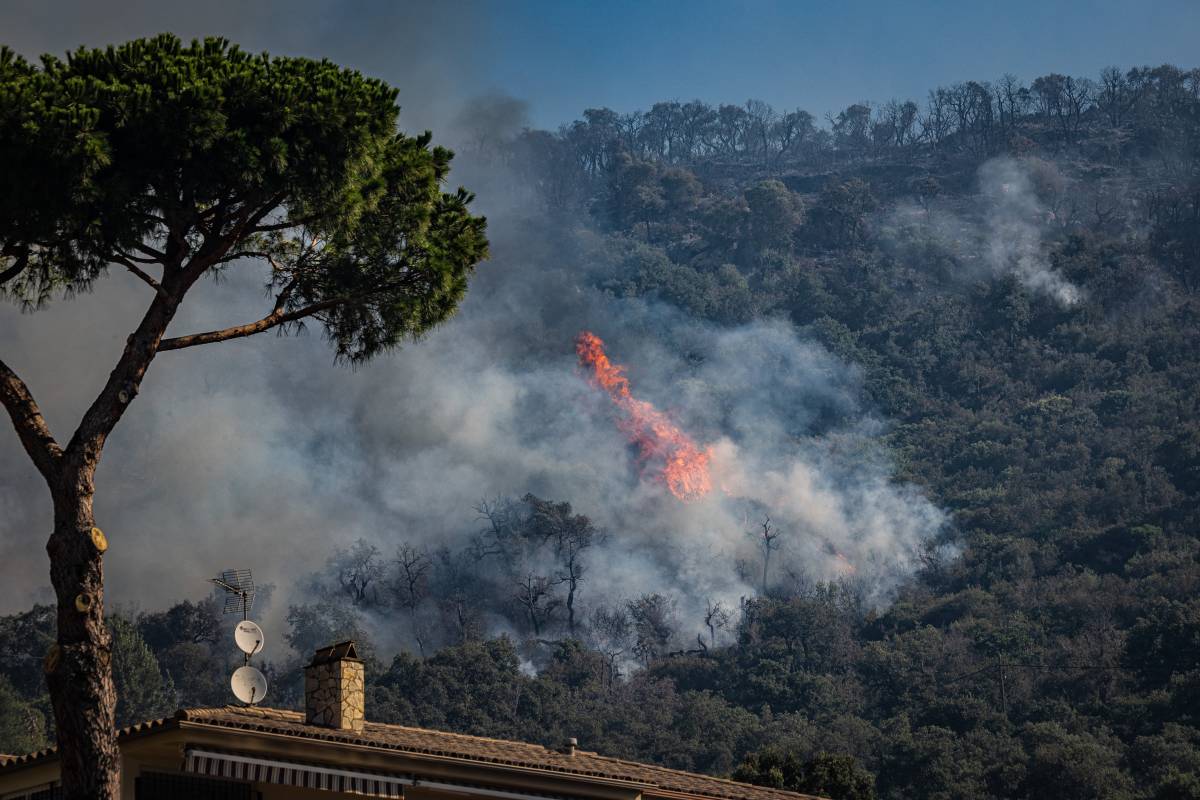 Illa anuncia que l'incendi de l'Empordà es podria estabilitzar aquesta mateixa nit