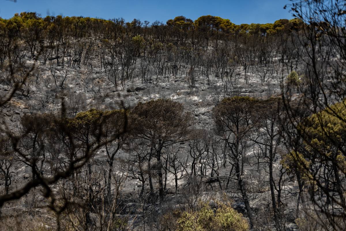 L'incendi de les Gavarres continua estabilitzat, però els Bombers afronten el dia amb preocupació