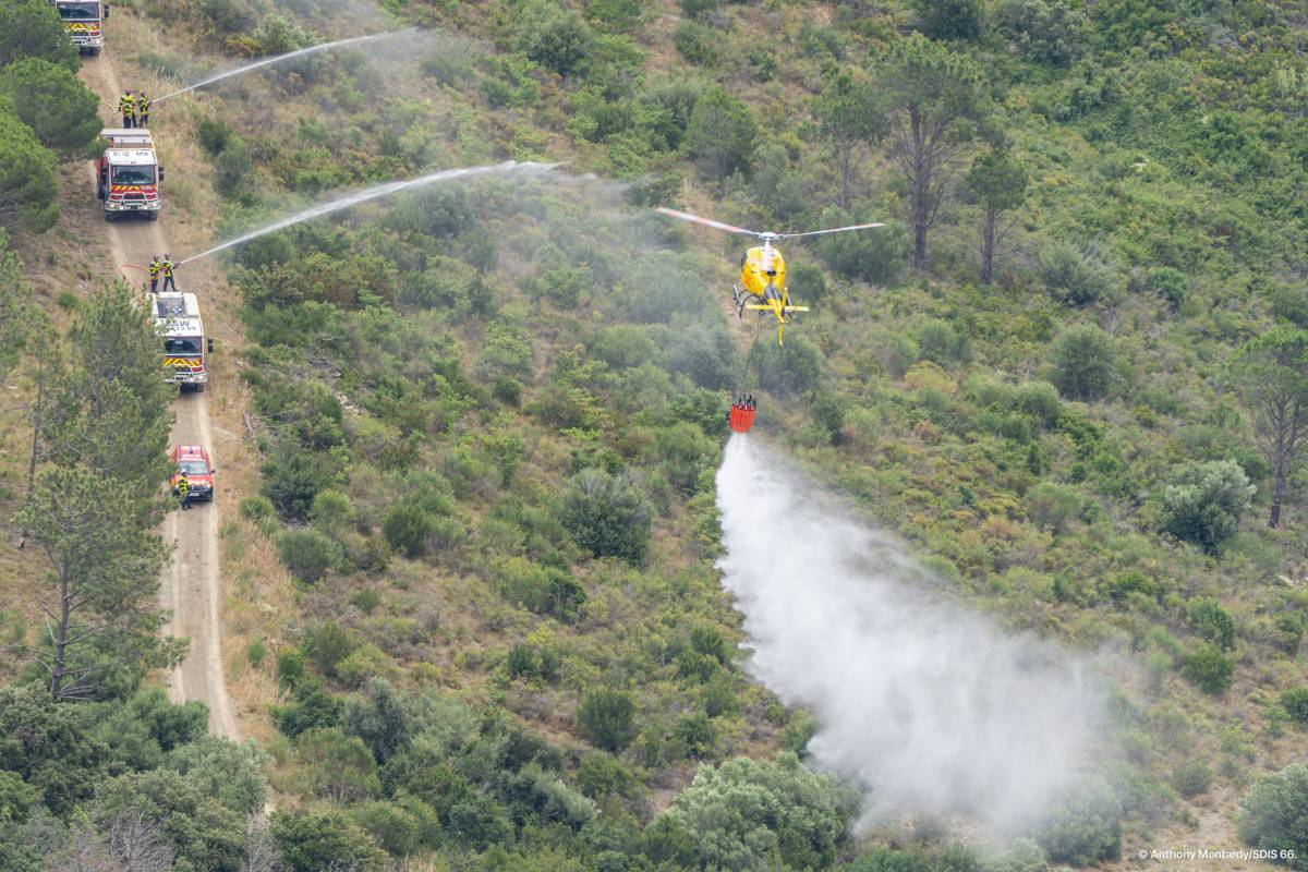 Un nou incendi a la Catalunya Nord crema prop de 1.000 hectàrees