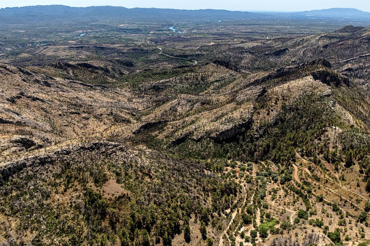 Des del cel, un any després: així es veu la petjada de l'incendi de Paüls